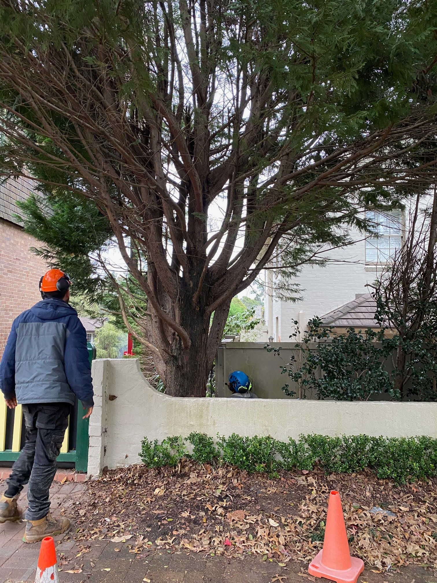 Heritage Related Services Image -5edf111471c8f